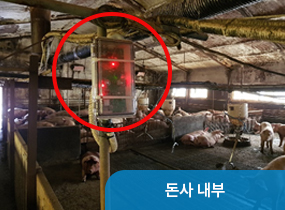 돈사 내부
