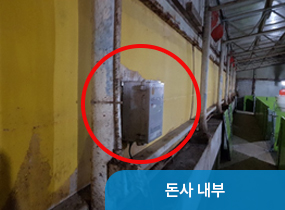 돈사 내부
