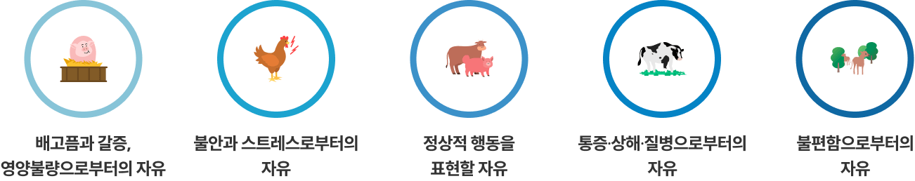 배고픔가 갈증, 영상불량으로부터의 자유 -> 불안과 스트레스로부터의 자유 -> 정상적 행동을 표현할 자유 -> 통증, 상해, 질병으로부터의 자유 -> 불편함으로부터의 자유